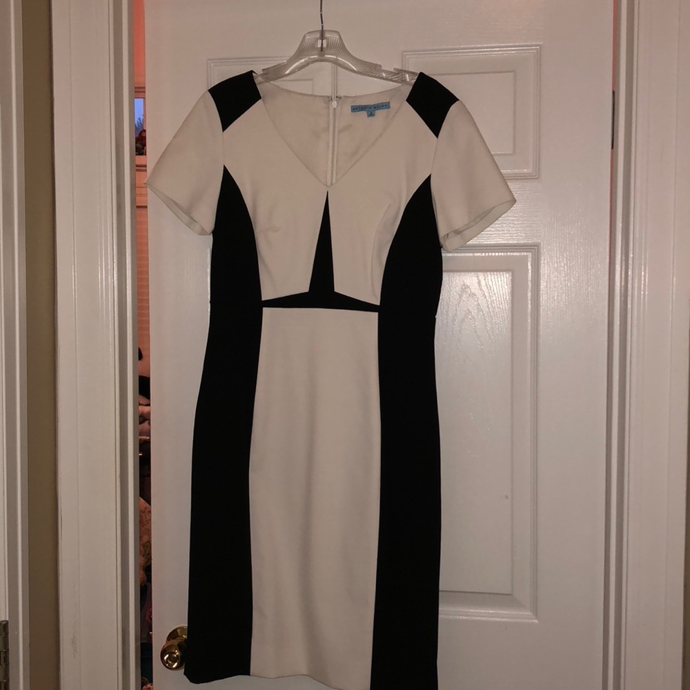 Antonio Melani dress